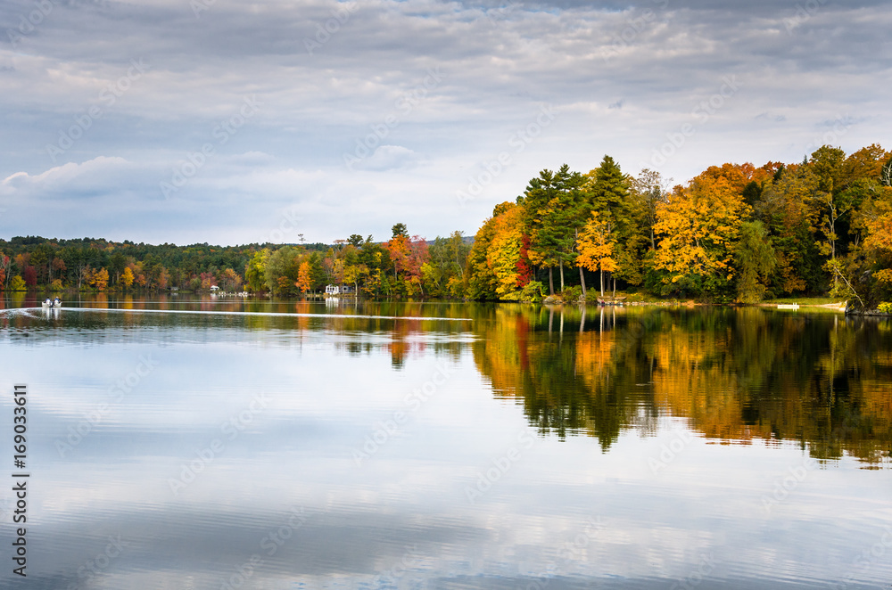 Autumn Trees on the Shore of a Lake reflecting in the Calm Waters on a overcast Autumn Day. The Berkshires, MA, USA