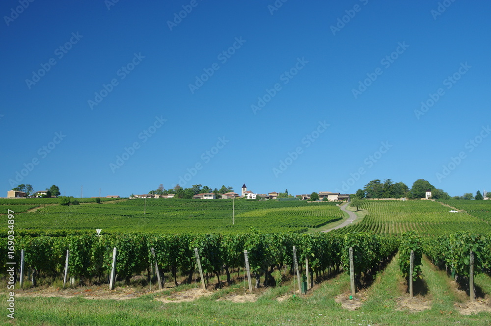 Obraz premium vignobles de bourgogne