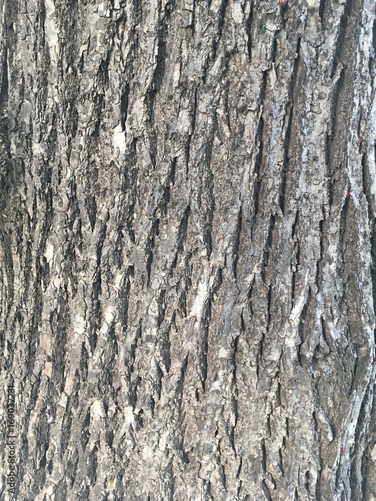 Obraz premium hintergrund struktur