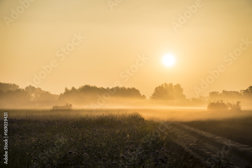 Sonnenaufgang im Feld bei Braunschweig, Deutschland