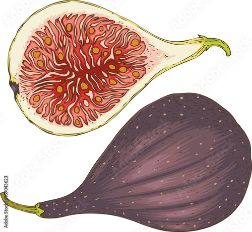 Two Ripe Figs. Whole and in Cross Section