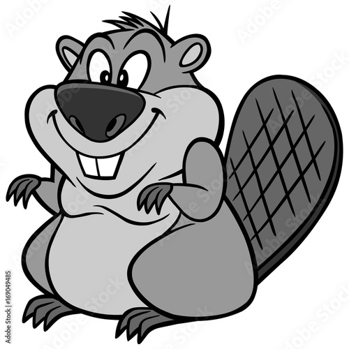 Beaver Illustration