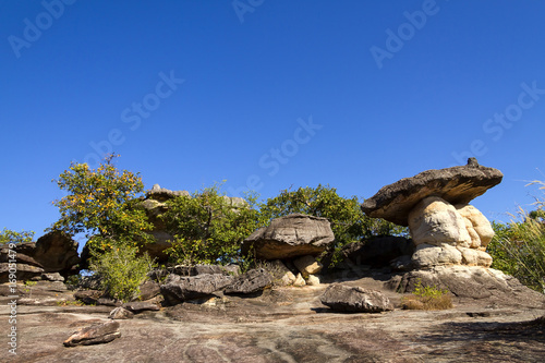 Mushroom stone and sunny