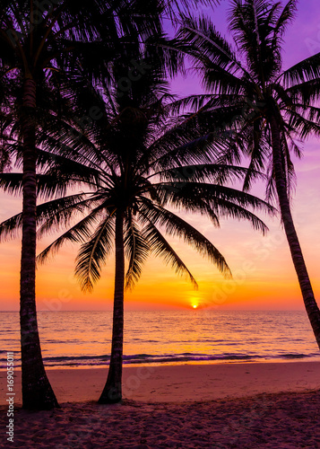 Palm trees silhouette at sunset. sunset and beach. Beautiful sunset above the sea