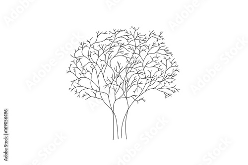 Line drawing of a tree, vector illustration.