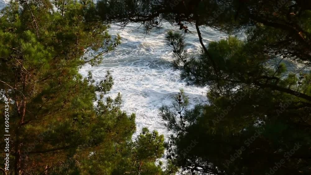Coastal sea waves are beating against the shore. The top view, shot through the branches of trees. Coastal sea waves are beating against the shore. The top view, shot through the branches of trees.