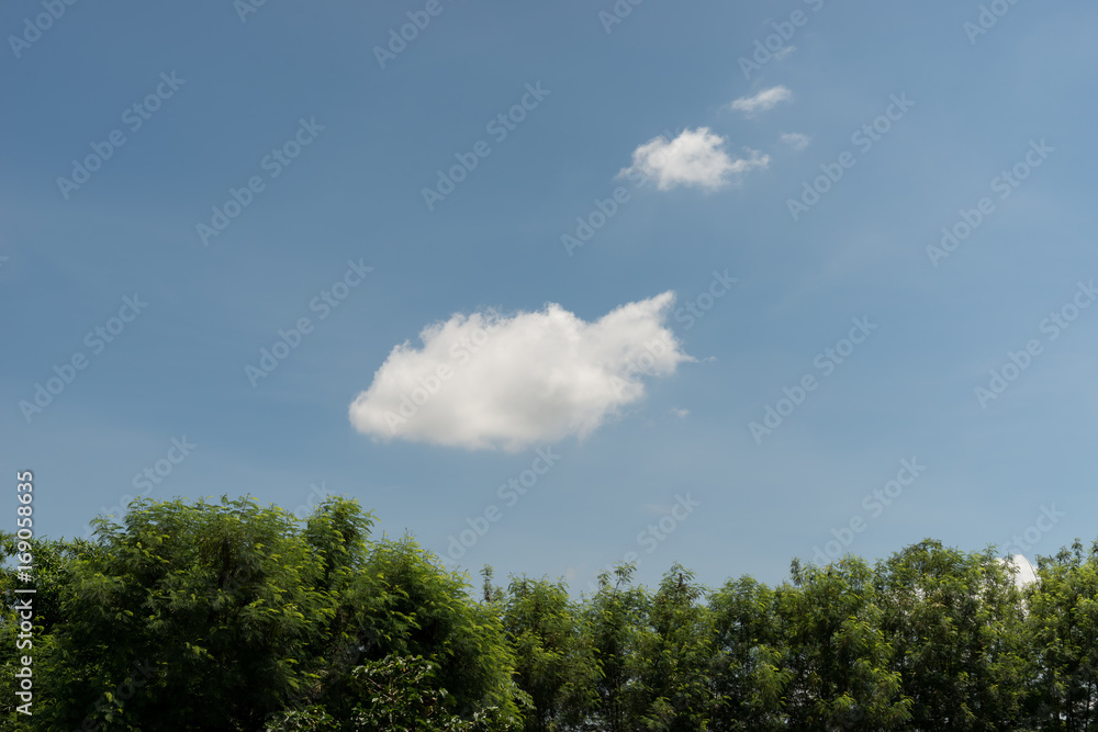 blue sky background with clouds and tree