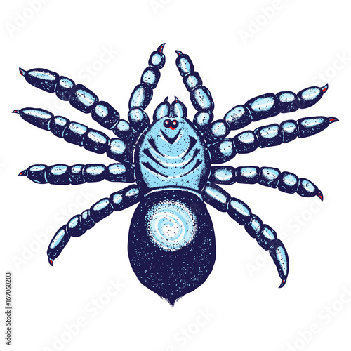 Halloween colour spider stipple drawing isolated. Insects spider in trendy embroidery stippling and hatching, shading style. Vector.