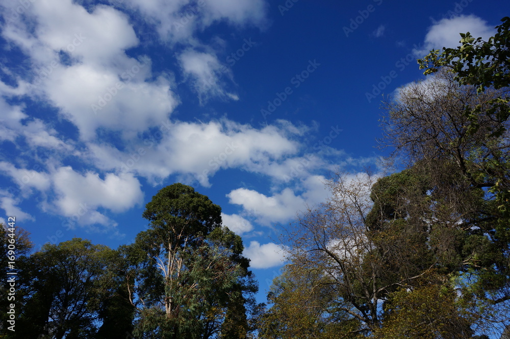 空 空