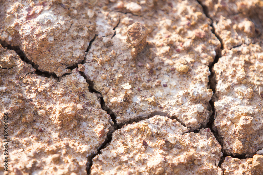 Abstract,background and texture of dry soil with cracked Abstract,background and texture of dry soil with cracked
