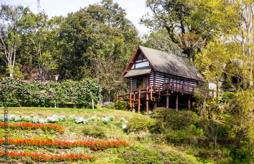 The cottage in forest photo