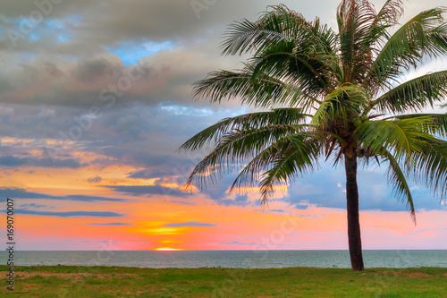 Tropical beach with palm tree at sunset, Thailand