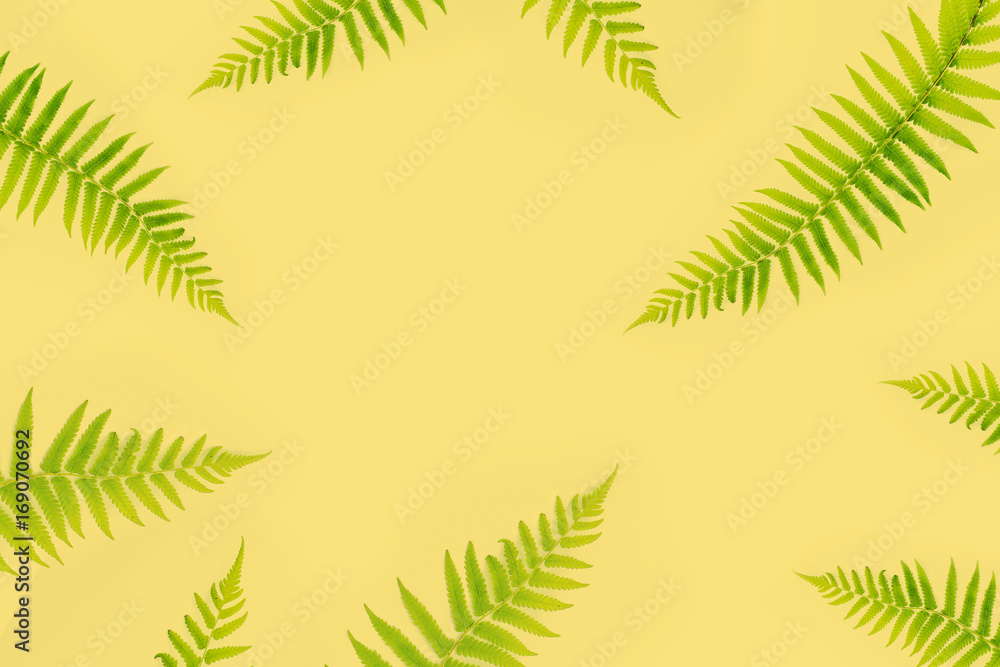 fern branches pattern isolated on yelloow background. flat lay, top view