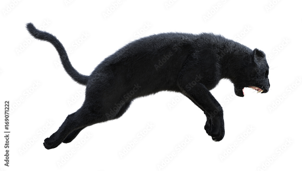 3D Rendering Black Panther on White 3D Rendering Black Panther on White