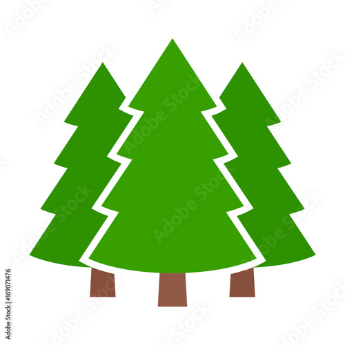 Three conifer pine trees in a forest or park simple vector color icon for nature apps and websites