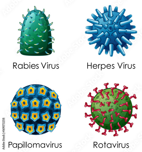 Four types of viruses on poster