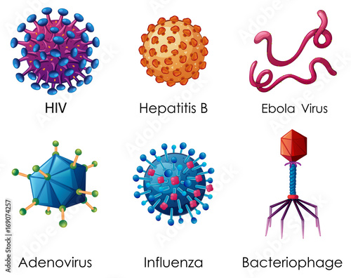 Six types of viruses on white background