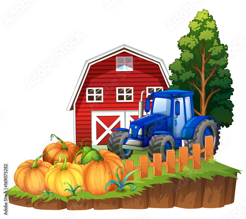 Farm scene with blue tractor and pumpkins