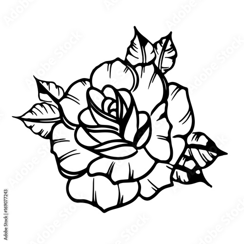 Rose close-up. Flower sticker rose, contour vector.