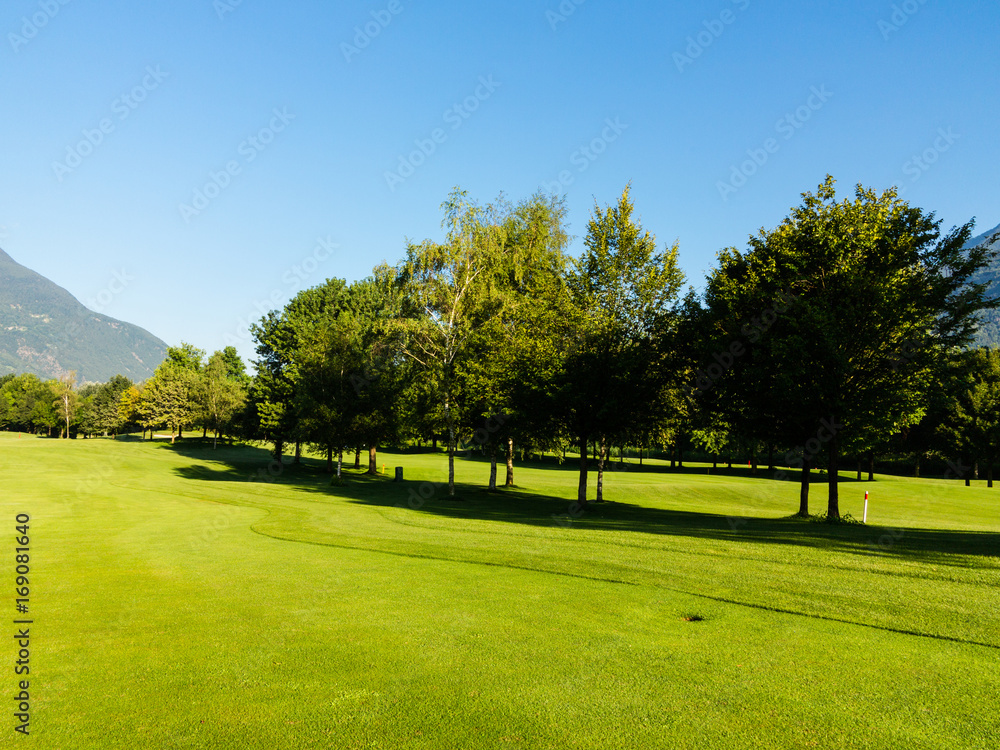 Green grass and trees in a public park