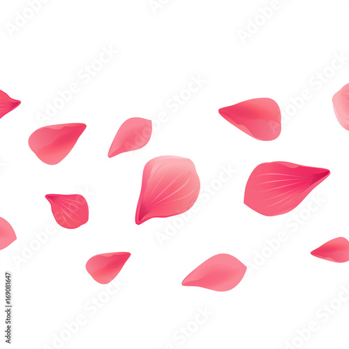 Petals Roses Flowers. Red Sakura flying petals isolated on White background. Vector