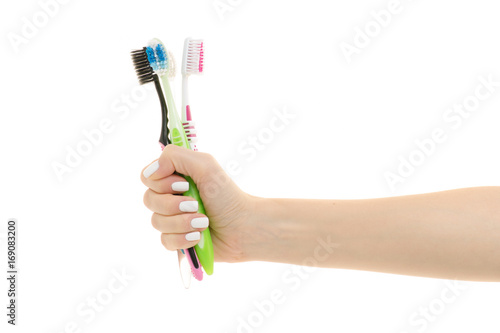 Female hands with toothbrushes for the whole family