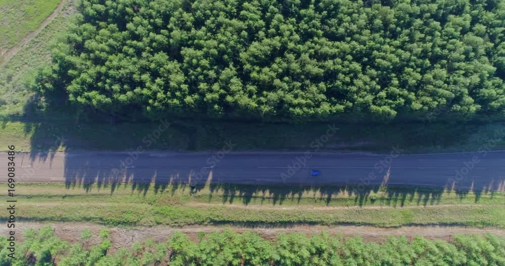 Aerial Top down View of Car Driving along Forest Road with Long Shadows Aerial Top down View of Car Driving along Forest Road with Long Shadows
