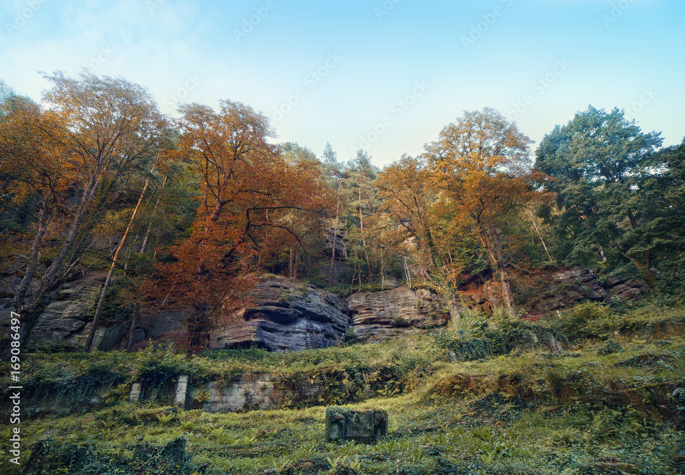 .The Czech-Saxon Switzerland. A forest road in the rocks. .The Czech-Saxon Switzerland. A forest road in the rocks.