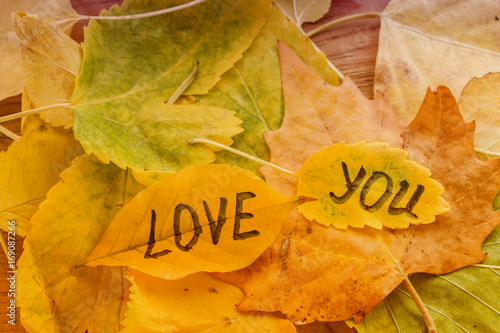 Yellow leaf with an inscription LOVE YOU on a background of yellow autumn leaves