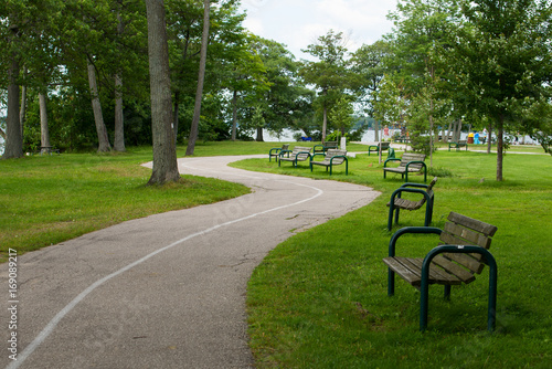 Quadro em tela Winding path and green benches