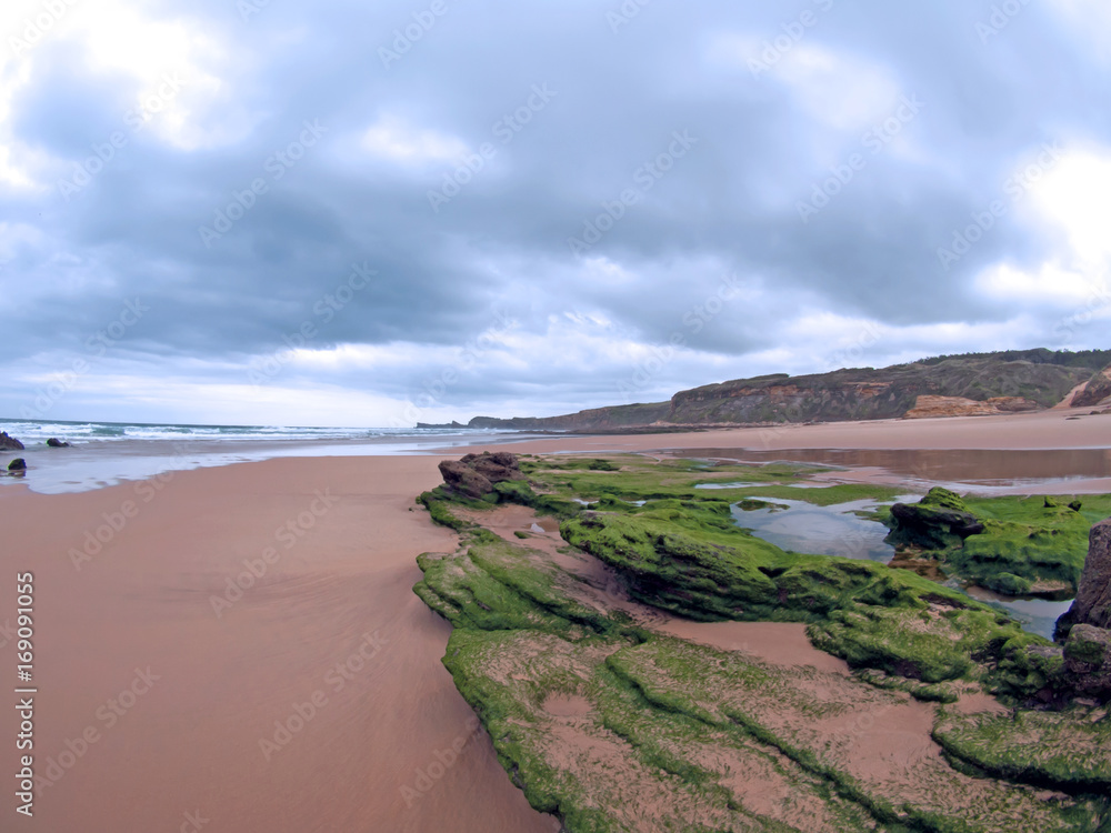 View of a beach a cloudy day with rocks covered in green algae View of a beach a cloudy day with rocks covered in green algae