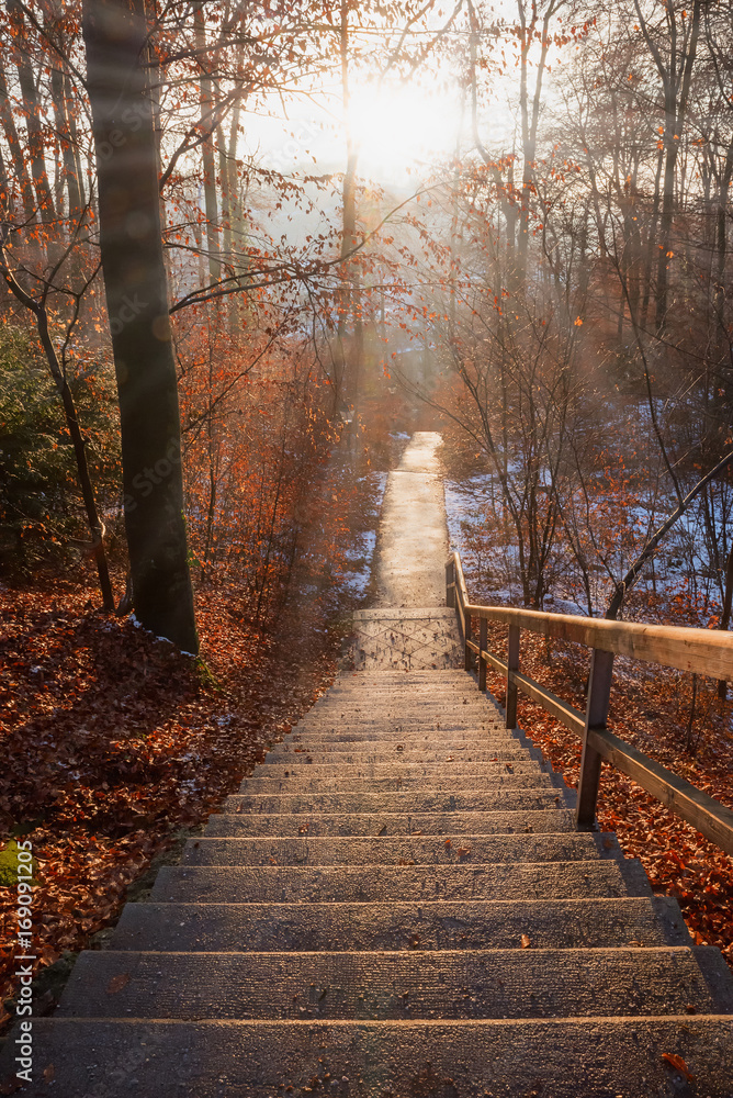 verlassene Treppe im Herbstwald bei Sonnenuntergang
