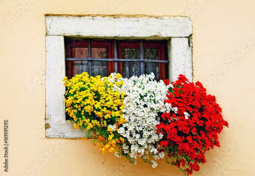 Charming floral compositin with vivid flowers. window decoration photo