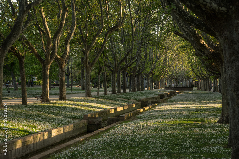 Park in Zaragoza Spain