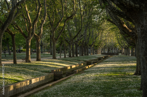 Park in Zaragoza Spain