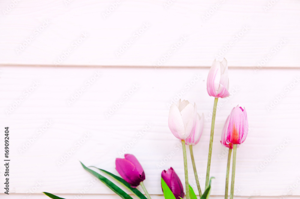 Fototapeta premium Purple tulips over blue background (spring, flower, day)