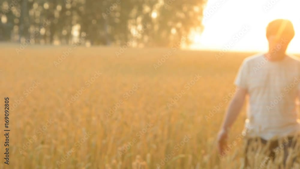Go farmer on the wheat field. Adult man against a ripe crop of cereals Go farmer on the wheat field. Adult man against a ripe crop of cereals