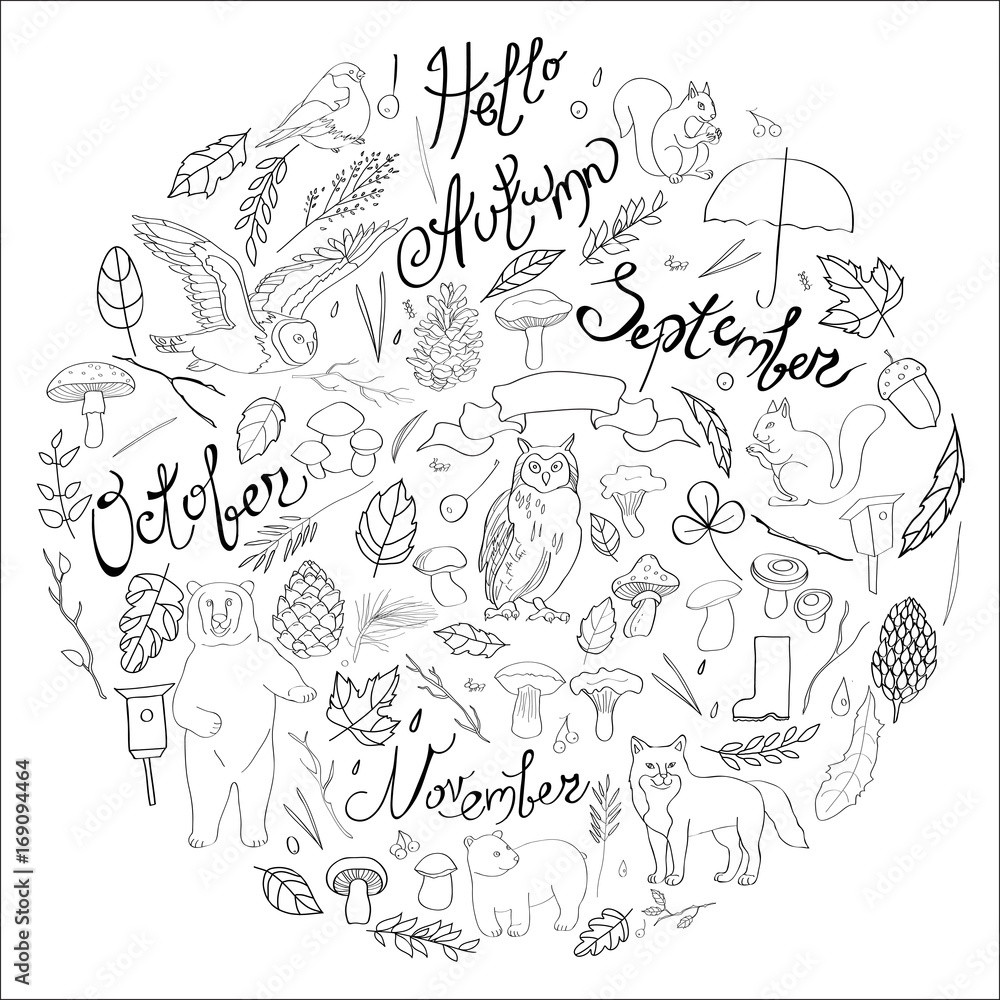 Fototapeta premium illustration, set with the image of leaves, branches, berries, flowers, animals and birds, autumn elements, bear, squirrels, fox, owl. Black and white line, vector.