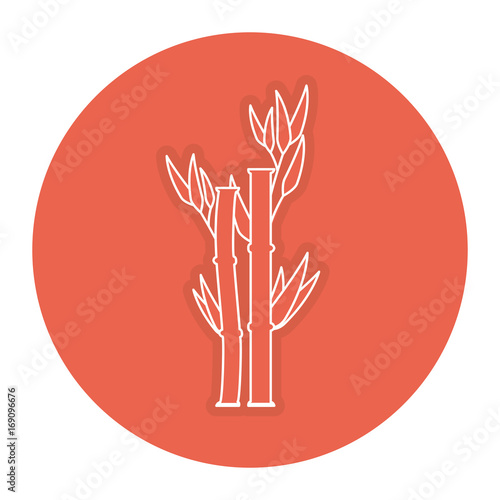 bamboo plant nature icon vector illustration design