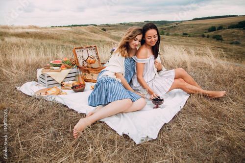 Beautiful young girls girlfriends on a picnic on a summer day. The concept of leisure, privacy, communication, vacation, tourism