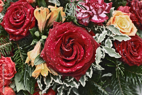 Red Roses with water drops