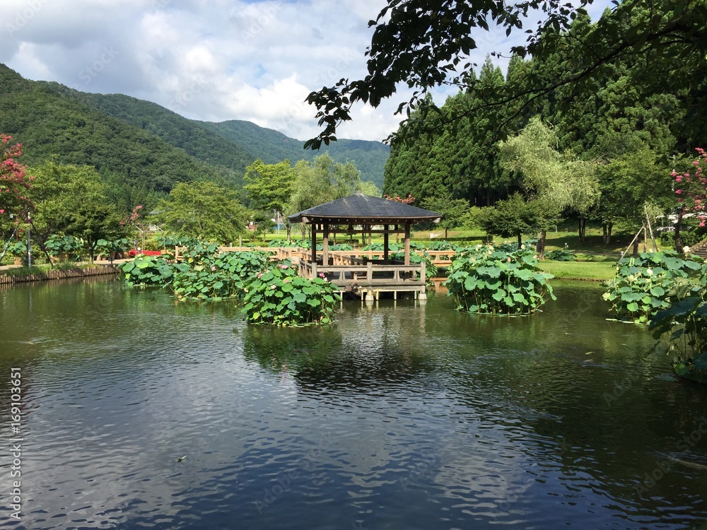 夏の風景