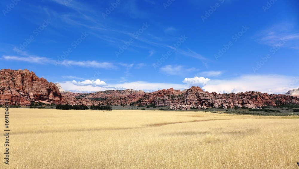 Goldene Graslandschaft im Zion National Park Goldene Graslandschaft im Zion National Park