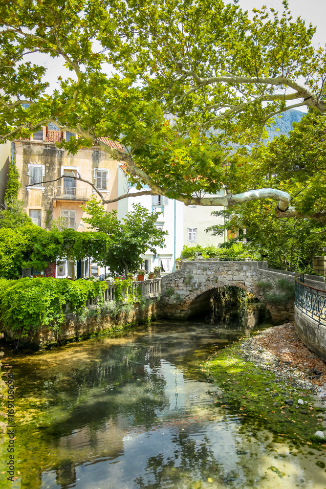 Obraz premium A creek under old bridge next to a branchy plane tree in Mlini, Croatia.