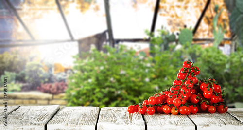 Obraz na plátně vegetables and table