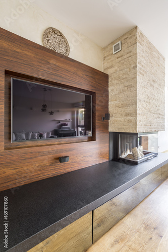 TV and fireplace in elegant room photo