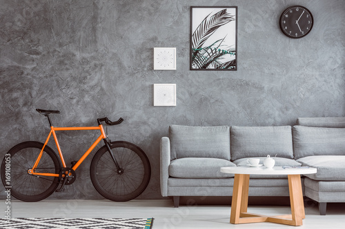 Orange bike in living room photo