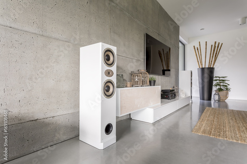 Bild auf Leinwand Home cinema in day room