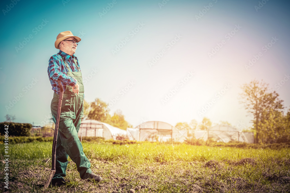 Senior gardener standing with a shovel in the garden. Vintage Senior gardener standing with a shovel in the garden. Vintage