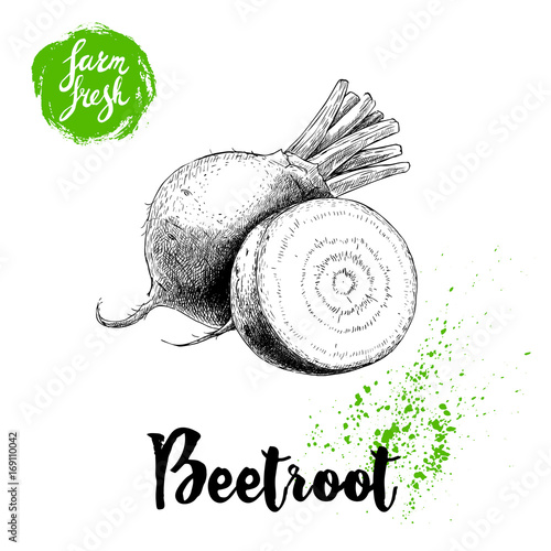 Hand drawn beet root with sliced root composition. Sketch vintage vector illustration. Farm fresh vegetables poster.